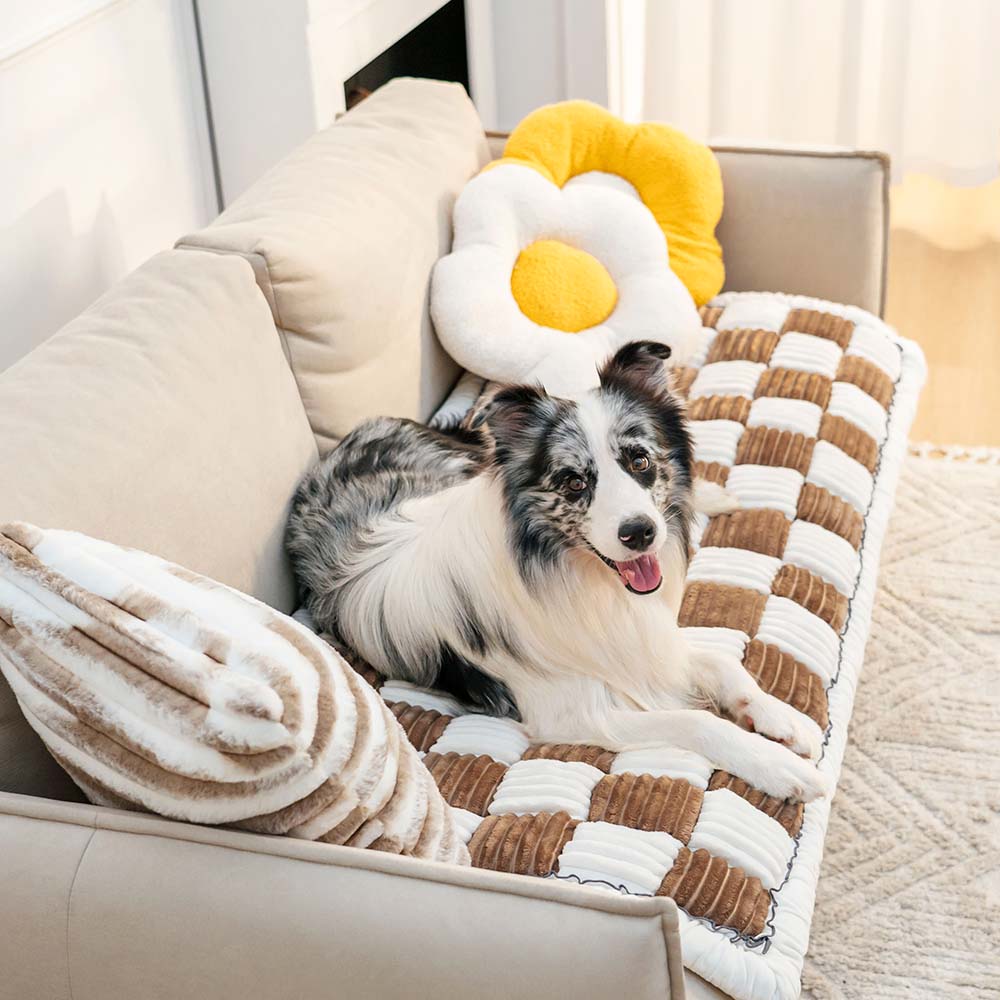 Pet Couch Cover