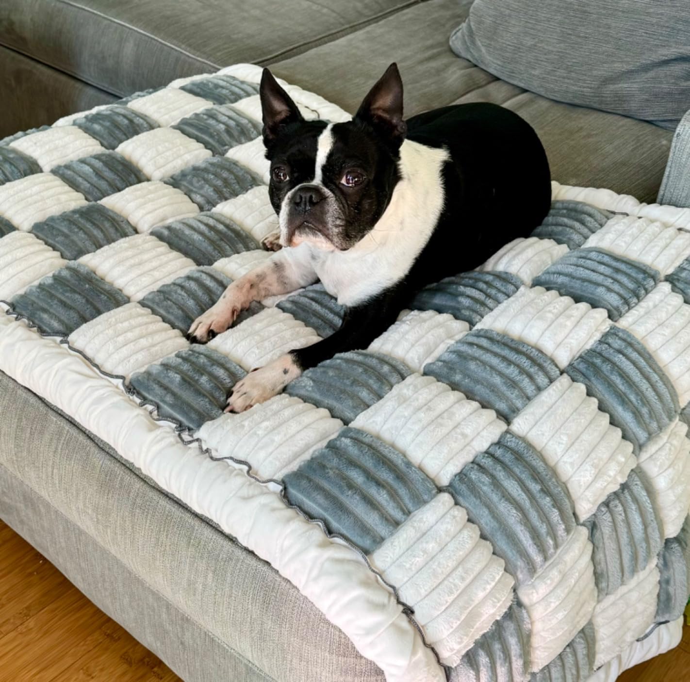 Pet Couch Cover