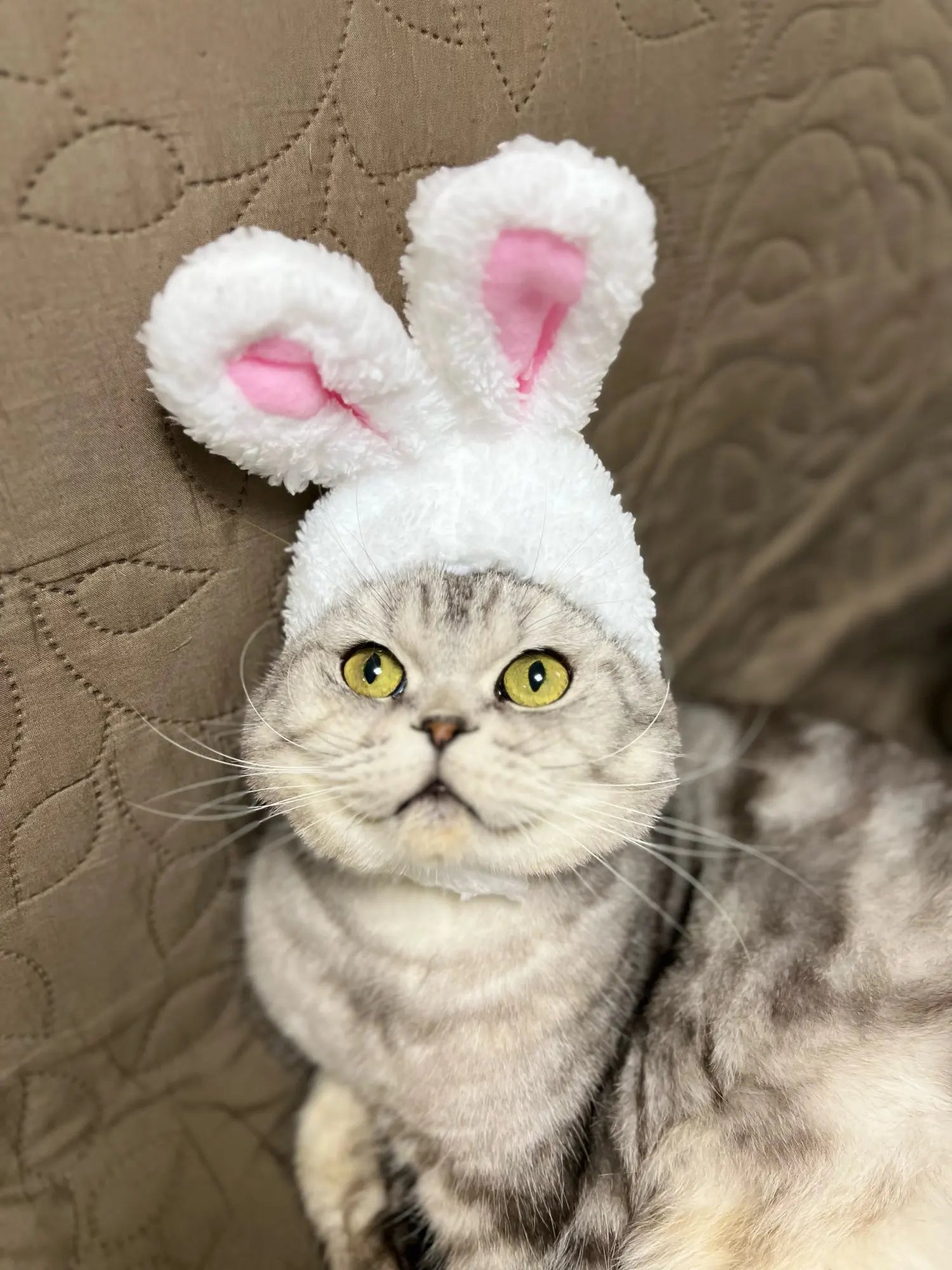 Pet Easter Bunny Ear