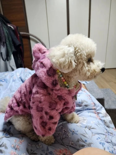 Leopard Print Pet Couture Hoodie