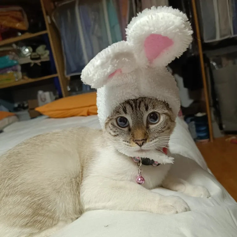 Pet Easter Bunny Ear