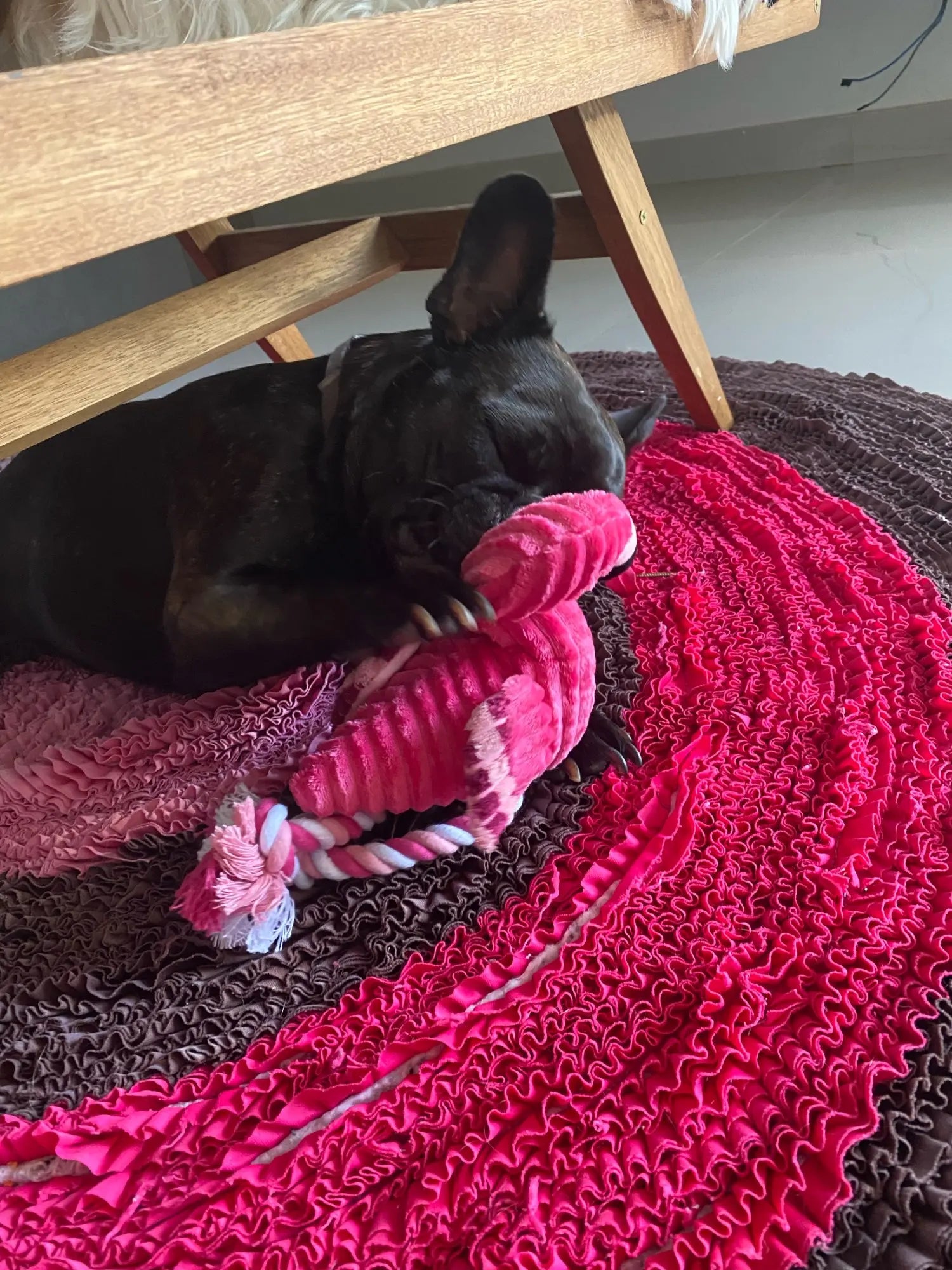 Cute Plush Flamingo Squeaky Toy