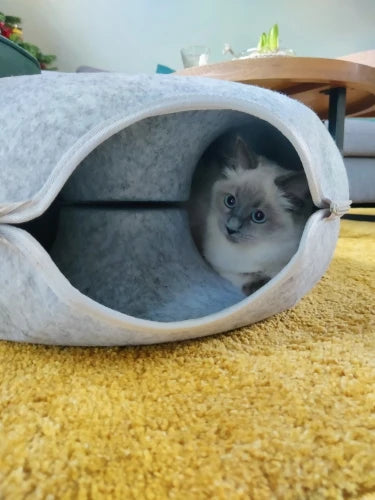 Cat Donut Bed & Tunnel