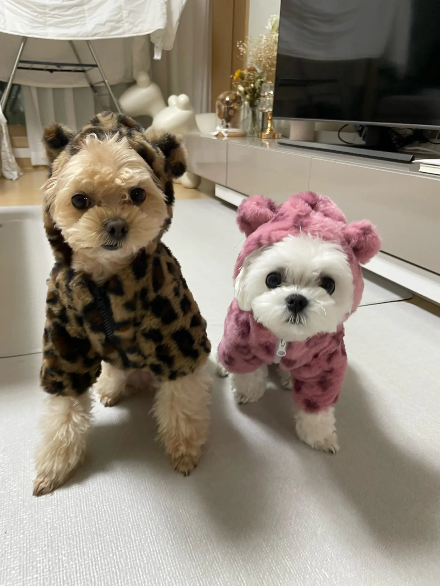 Leopard Print Pet Couture Hoodie