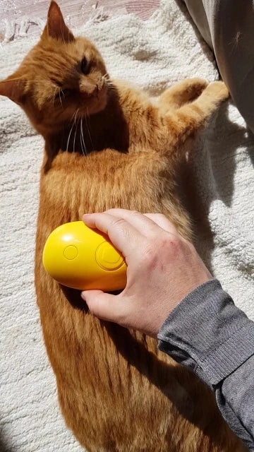 Self-Cleaning Steam Cat Brush