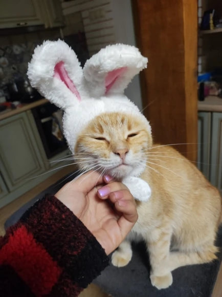 Pet Easter Bunny Ear