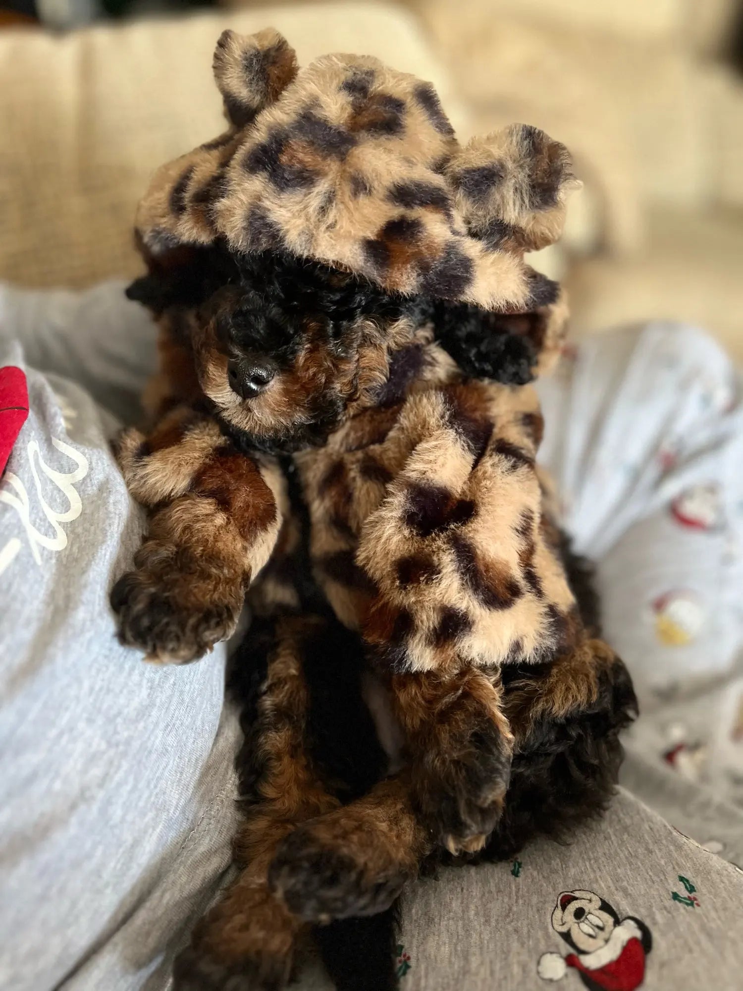 Leopard Print Pet Couture Hoodie