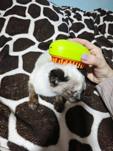 Self-Cleaning Steam Cat Brush