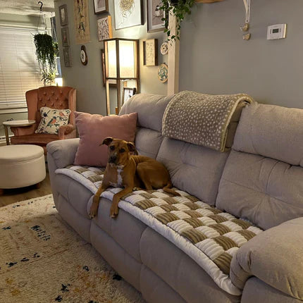 Pet Couch Cover