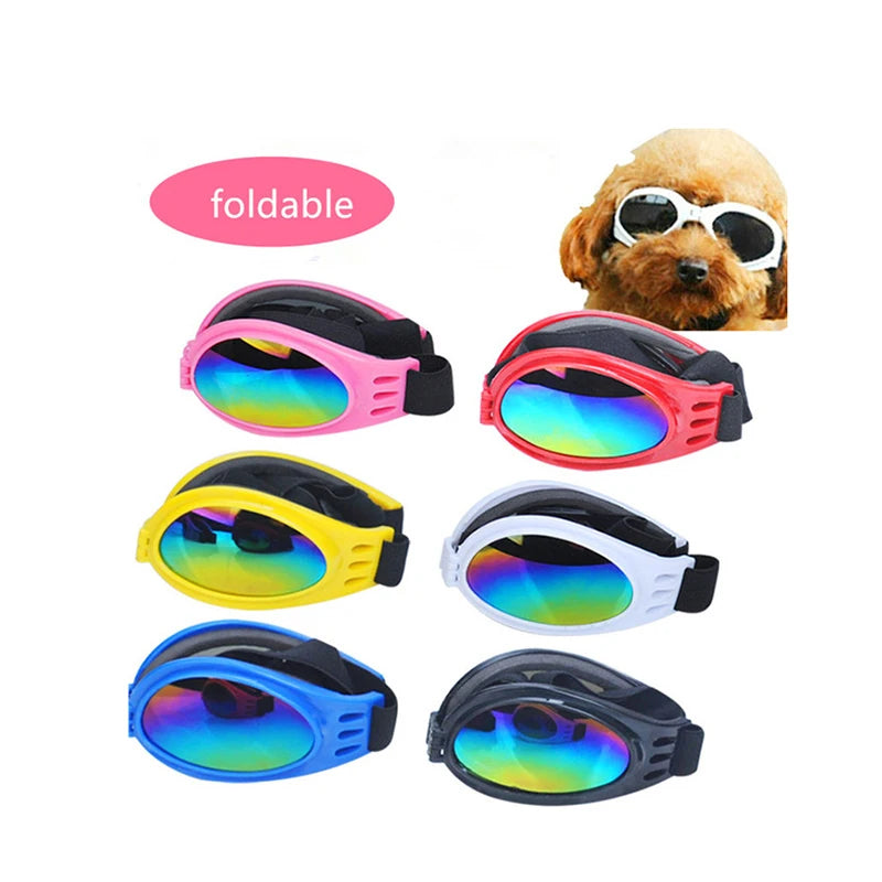 Pawparazzi Protectors: Luxury Eyewear