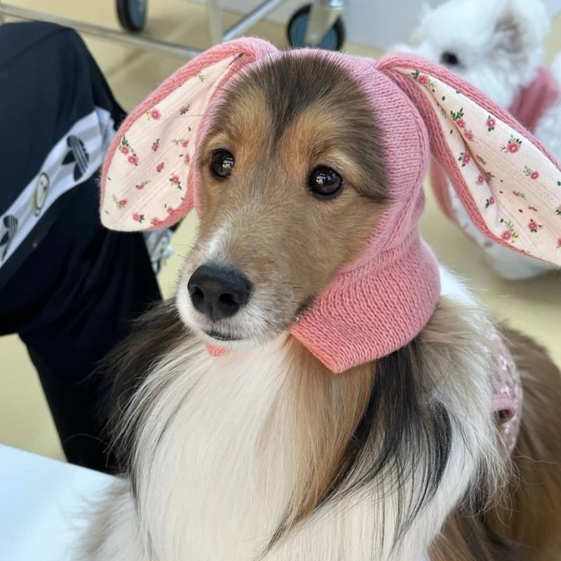 Easter Bunny Hat for Pets