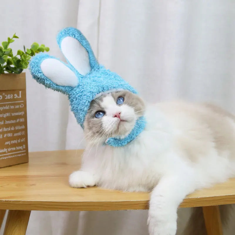 Pet Easter Bunny Ear