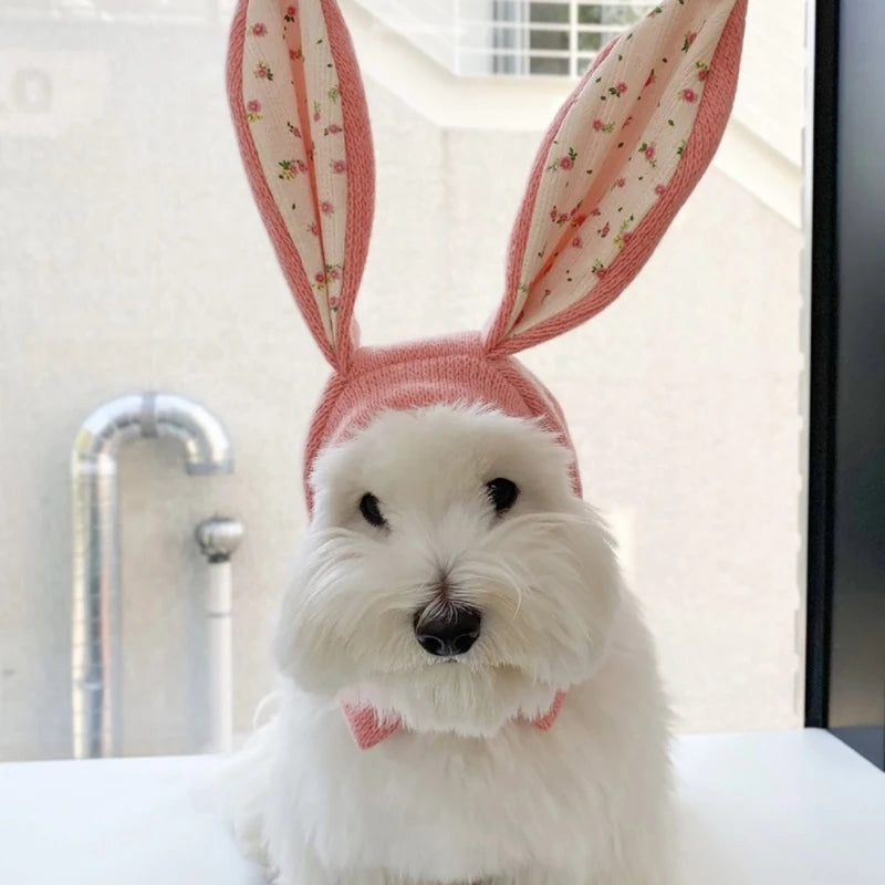 Easter Bunny Hat for Pets