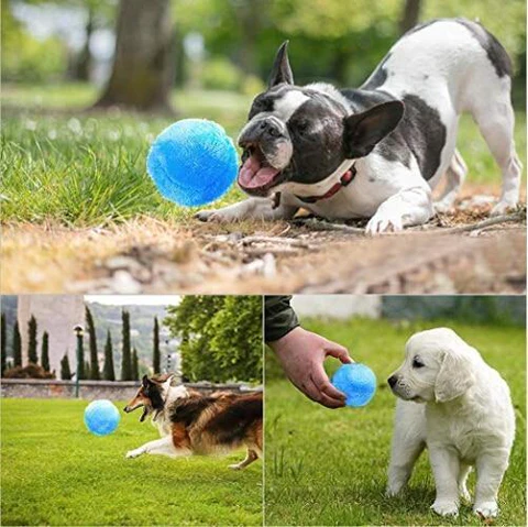 Electric Rolling Chewing Ball